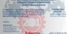 D.LGS. 2312001 Linee guida per le aziende