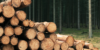 ccnl legno